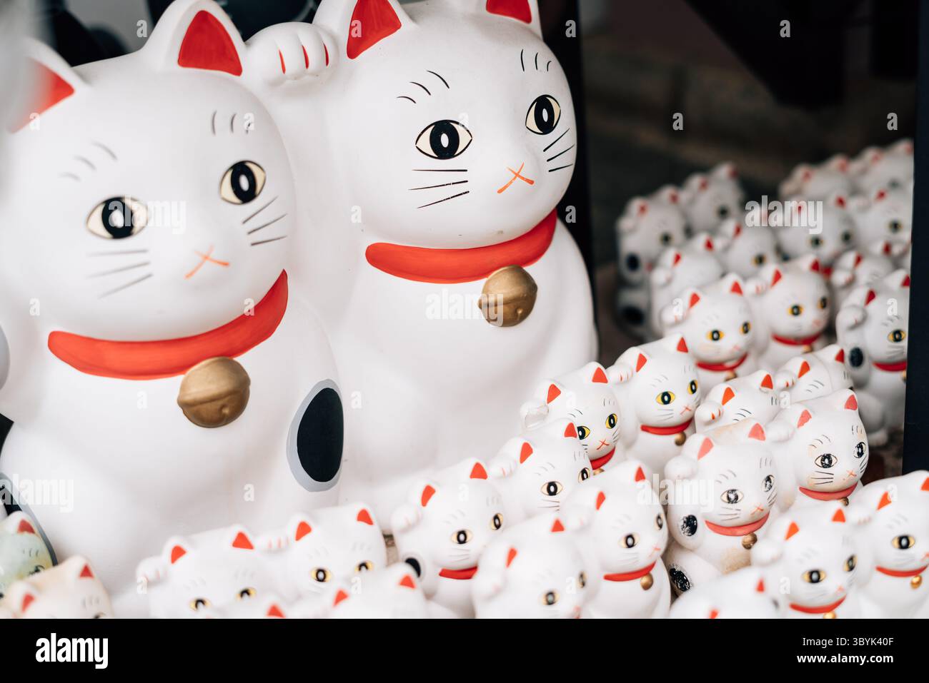 Maneki Neko Katze im japanischen Schrein Stockfoto