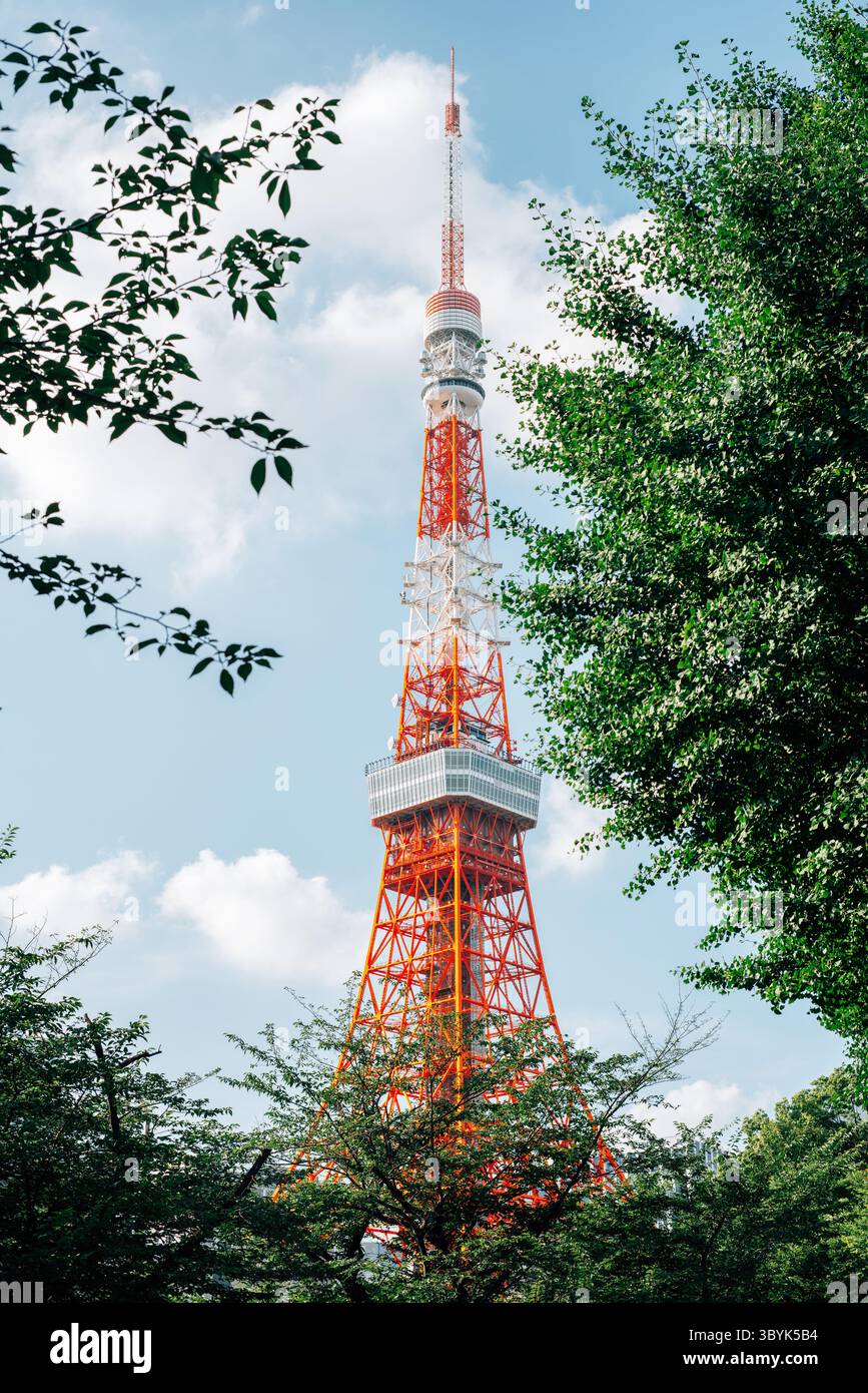 Tokyo Tower vom Shiba Park in Tokio, Japan Stockfoto