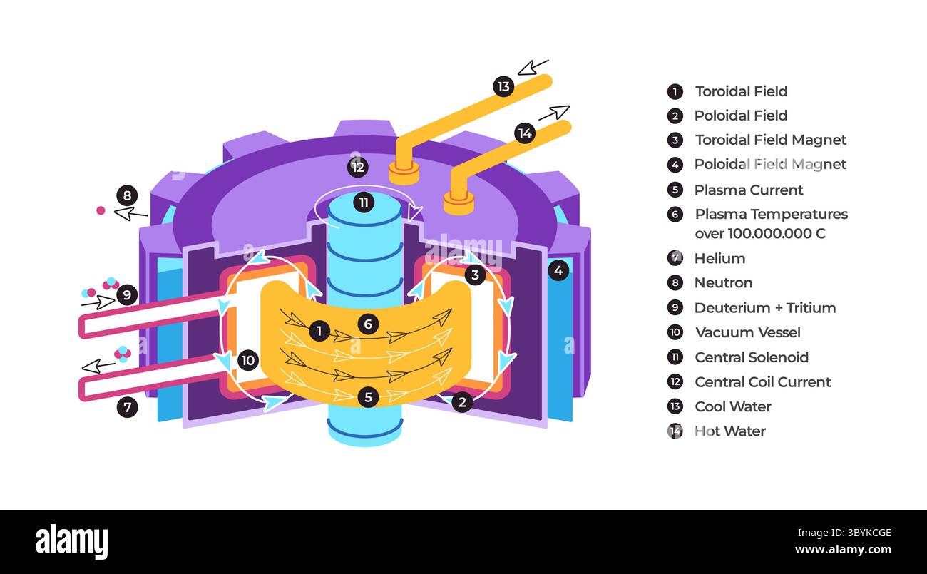 Thermonuklearer Fusionsreaktor von Tokamak, einschließlich Ringkernmagneten und Poloidfeldern, Plasmamagneten und Brennstoff, die den Prozess des kontrollierten thermonuklearen Kerns zeigen Stock Vektor