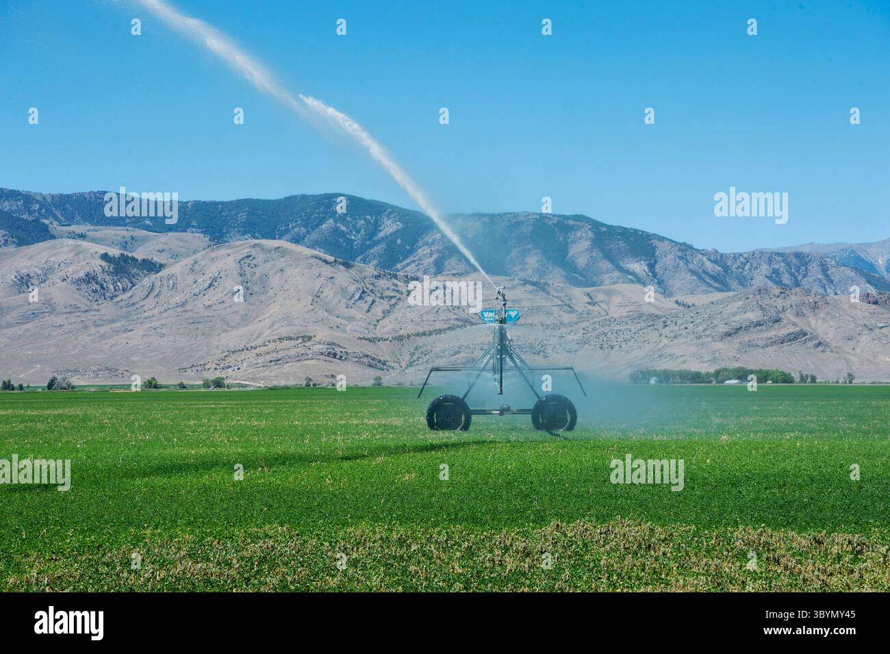 Das Center-Pivot-Bewässerungssystem im Alfalfa-Feld in Süd-Zentral-Idaho Stockfoto