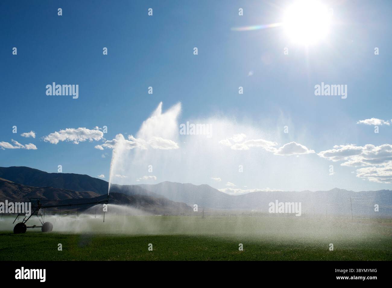 Das Center-Pivot-Bewässerungssystem im Alfalfa-Feld in Süd-Zentral-Idaho Stockfoto