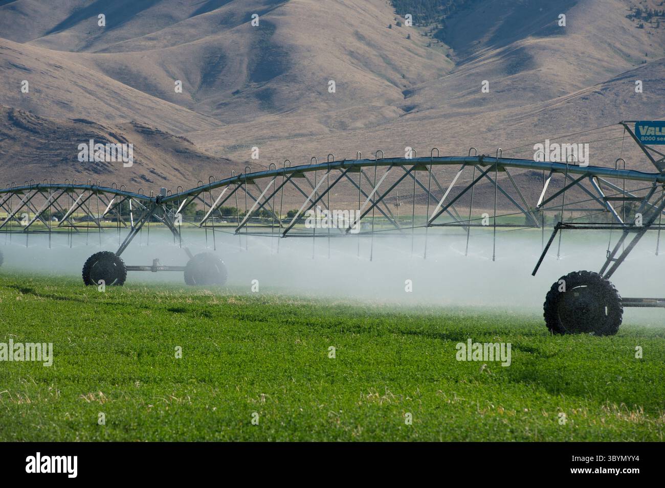 Das Center-Pivot-Bewässerungssystem im Alfalfa-Feld in Süd-Zentral-Idaho Stockfoto