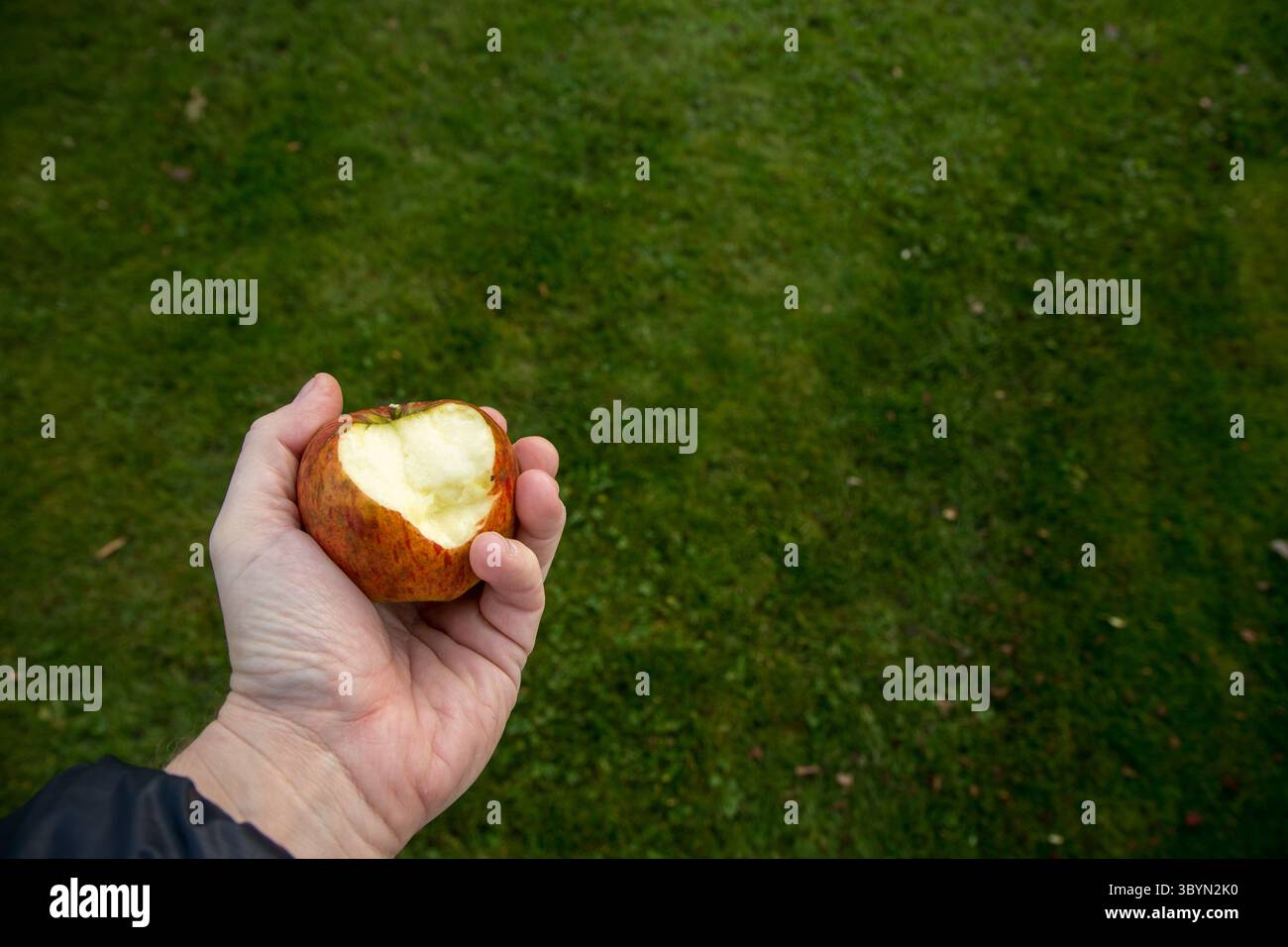 Männliche Hand hält gebissenen Apfel, frischen Bio- und süßen Apfel mit Kopierraum herum Stockfoto