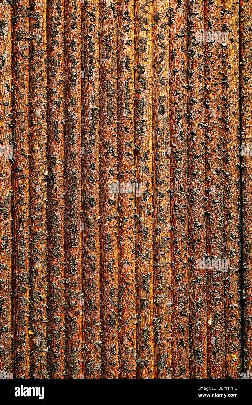 Rostiges korrodiertes metallisches Oberflächenmuster als Hintergrund und Textur Stockfoto