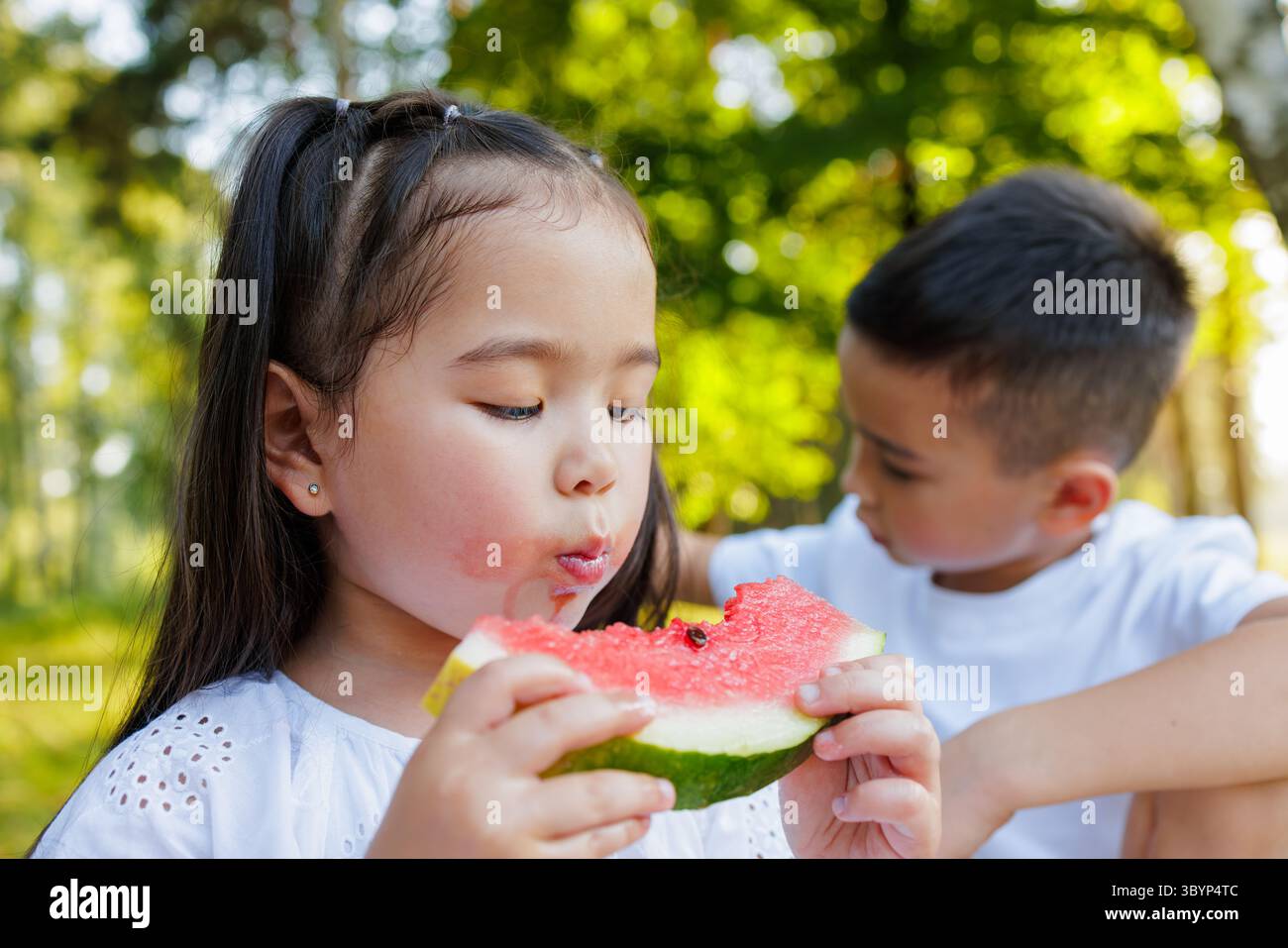 Nahaufnahme von Kindern, die Wassermelone beim Sommer-Picknick in der Natur essen glückliche Kindheitsmomente frische Früchte Outdoor Lifestyle Stockfoto