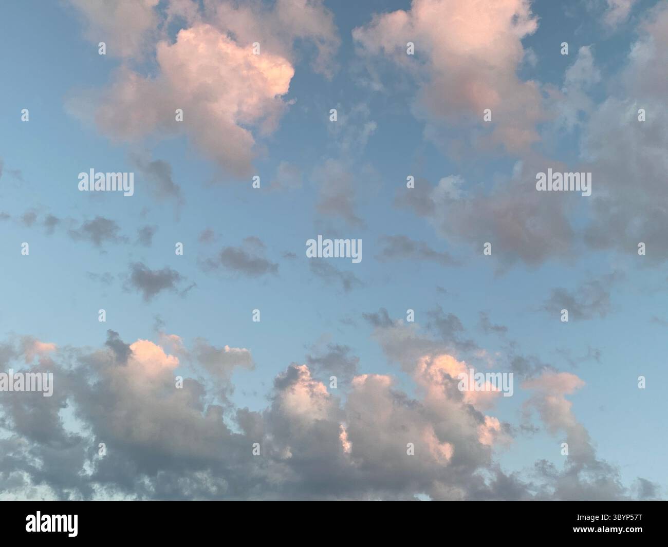 Eine atemberaubende Szene mit flauschigen Wolken, die über einen hellblauen Himmel gleiten und eine malerische und ruhige Atmosphäre schaffen. - Smartphone-aufgenommenes Stockfoto
