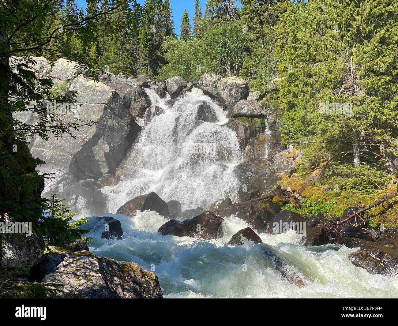 Ein majestätischer Wasserfall rauscht durch einen üppig grünen Wald und schafft eine wunderschöne natürliche Landschaft. - Smartphone-aufgenommenes Stockfoto