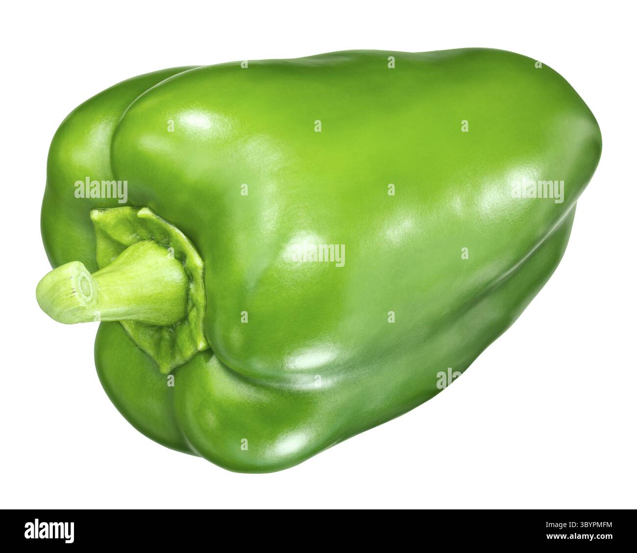 Grüne Paprika (Capsicum annuum), ganze pod, Ansicht von oben Stockfoto