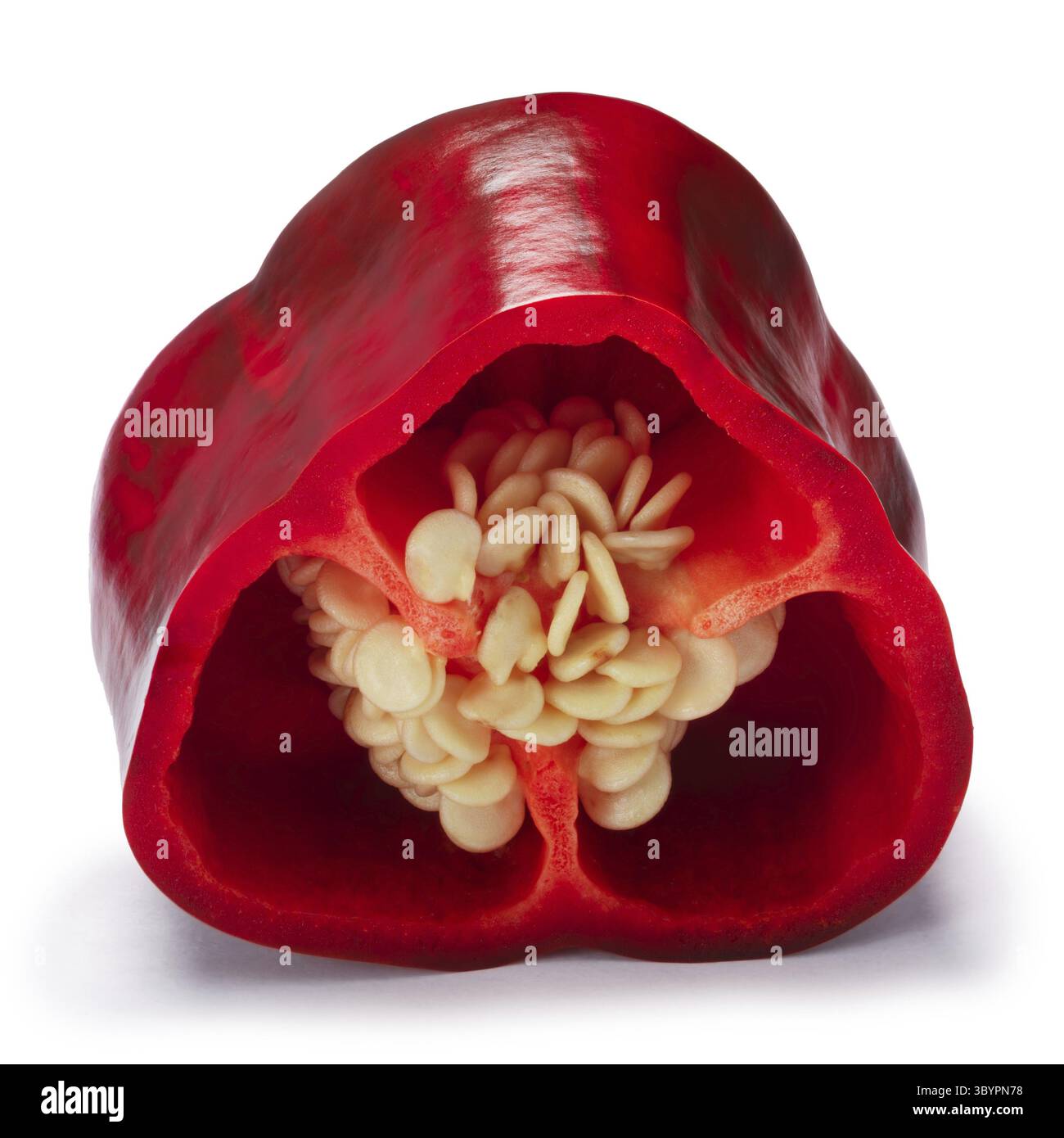 Ancho Pfeffer (genannt Poblano unreif), halb. Schneidepfade, Schatten getrennt Stockfoto