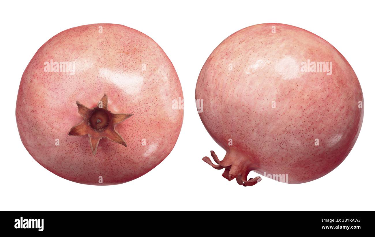 Blass Granatapfel (Punica Granatum), frisches Obst, Ansicht von oben Stockfoto