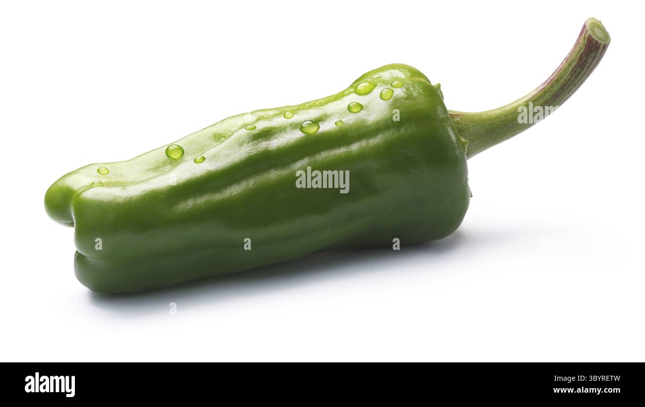 Friggitello, ein einziger toskanischen oder Griechisch milden Pfeffer, genannt Peperoncino in den USA (Capsicum Annuum). Schneidepfad, Schatten getrennt Stockfoto