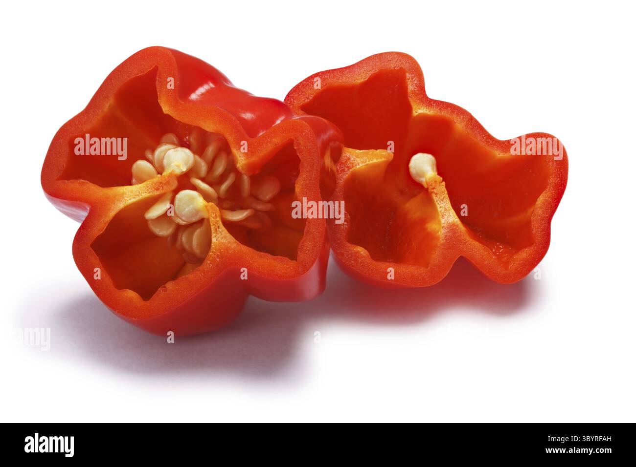 Trinidad 7 Pod sieben Topf Paprika (Capsicum Chinense), halbiert. Schneidepfade, Schatten getrennt Stockfoto