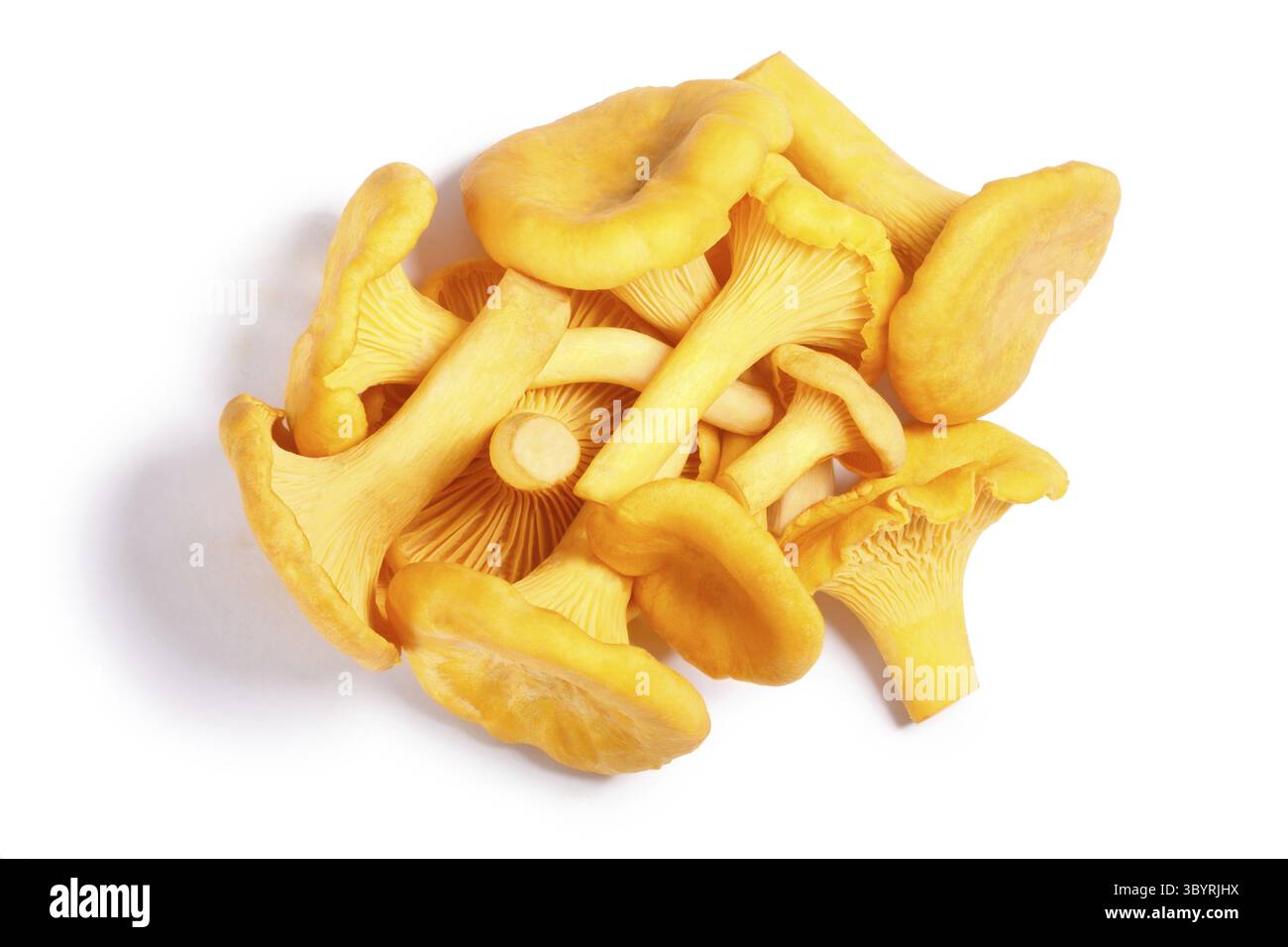 Stapel der Pfifferlinge Champignons oder Pfifferlinge (Cantharellus Cibarius), Ansicht von oben. Beschneidungspfade, Schatten getrennt Stockfoto