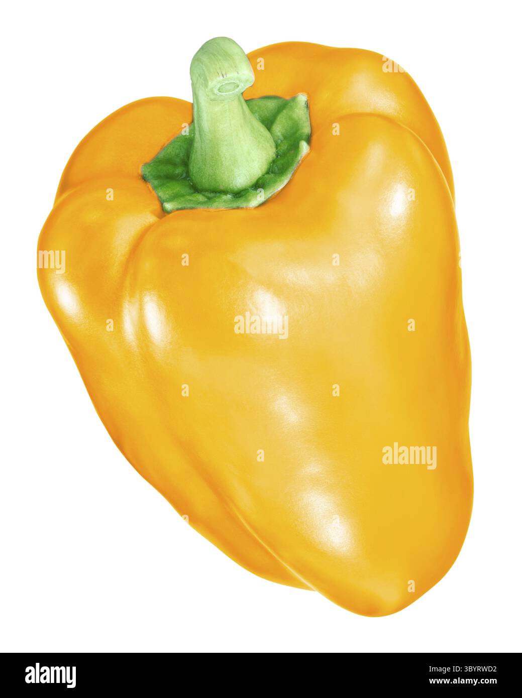 Orange Paprika (Capsicum annuum), ganze pod, Ansicht von oben Stockfoto
