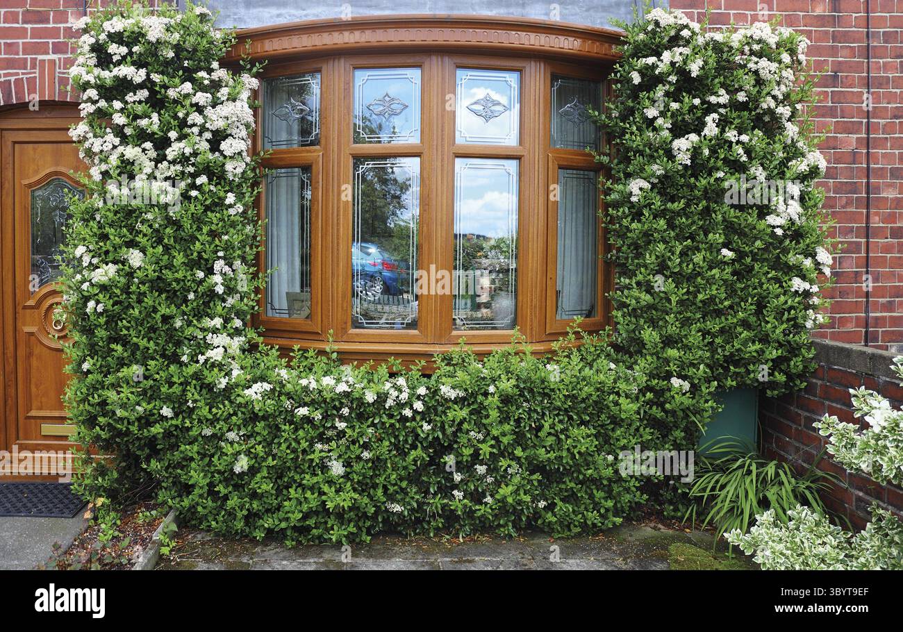 Fenster und Tür im englischen Stil Stockfoto