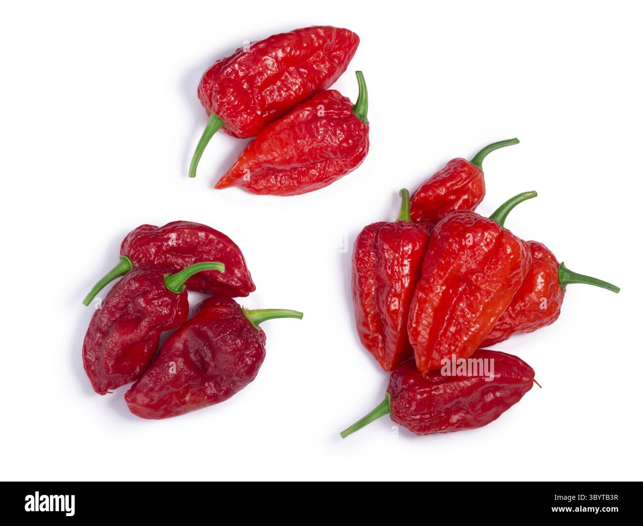 Haufen von Bhut Jolokia ghost Chili Paprika (Capsicum Frutescens x Capsicum Chinense Hybrid). Schneidepfade, Schatten Sie getrennt, Top Aussicht Stockfoto
