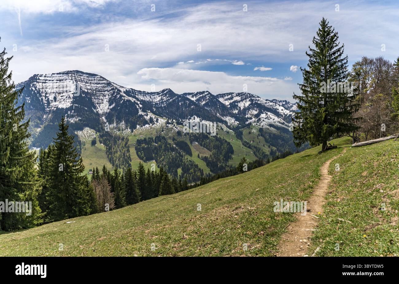 Wunderschöner Rundwanderweg zum Denneberg an der Nagelfluhkette im Allgau bei Oberstaufen Steibis Stockfoto