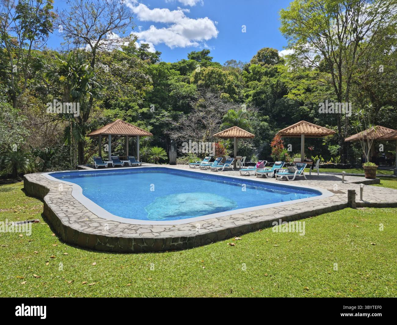 Panama, Caldera-Tal, Provinz Chiriqui, Swimmingpool im tropischen Dschungel, mit Liegestühlen Stockfoto