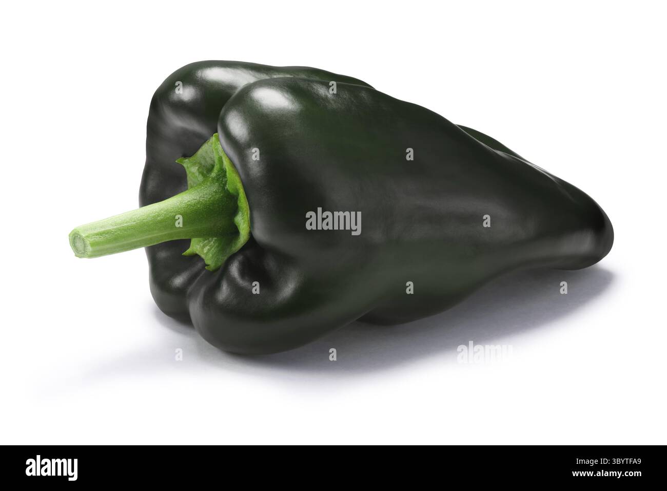 Poblano Pfeffer auch genannt Ancho, wenn reif (Capsicum Annuum) getrocknet. New Mexico (Numex Chile). Schneidepfade, Schatten getrennt Stockfoto