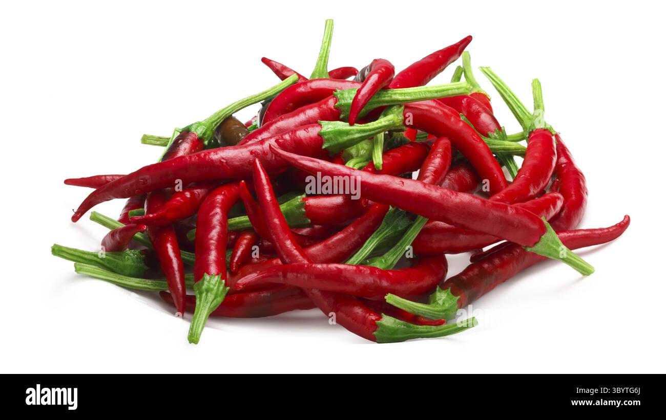 Haufen von De Arbol Chilli (Capsicum Annuum), rot reif. Schneidepfade, Schatten getrennt Stockfoto