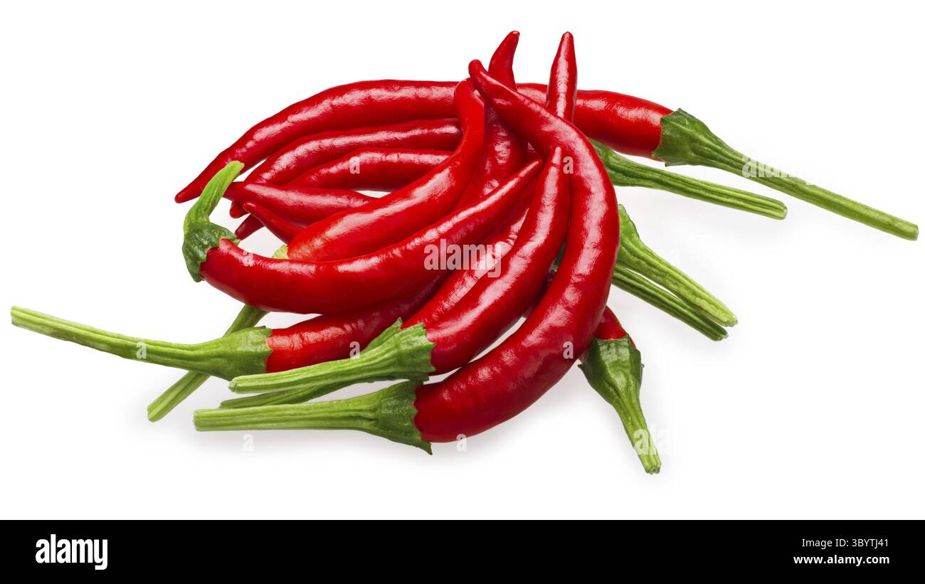 De Arbol Chilli (Capsicum Annuum), rot reif. Schneidepfade, Schatten getrennt Stockfoto