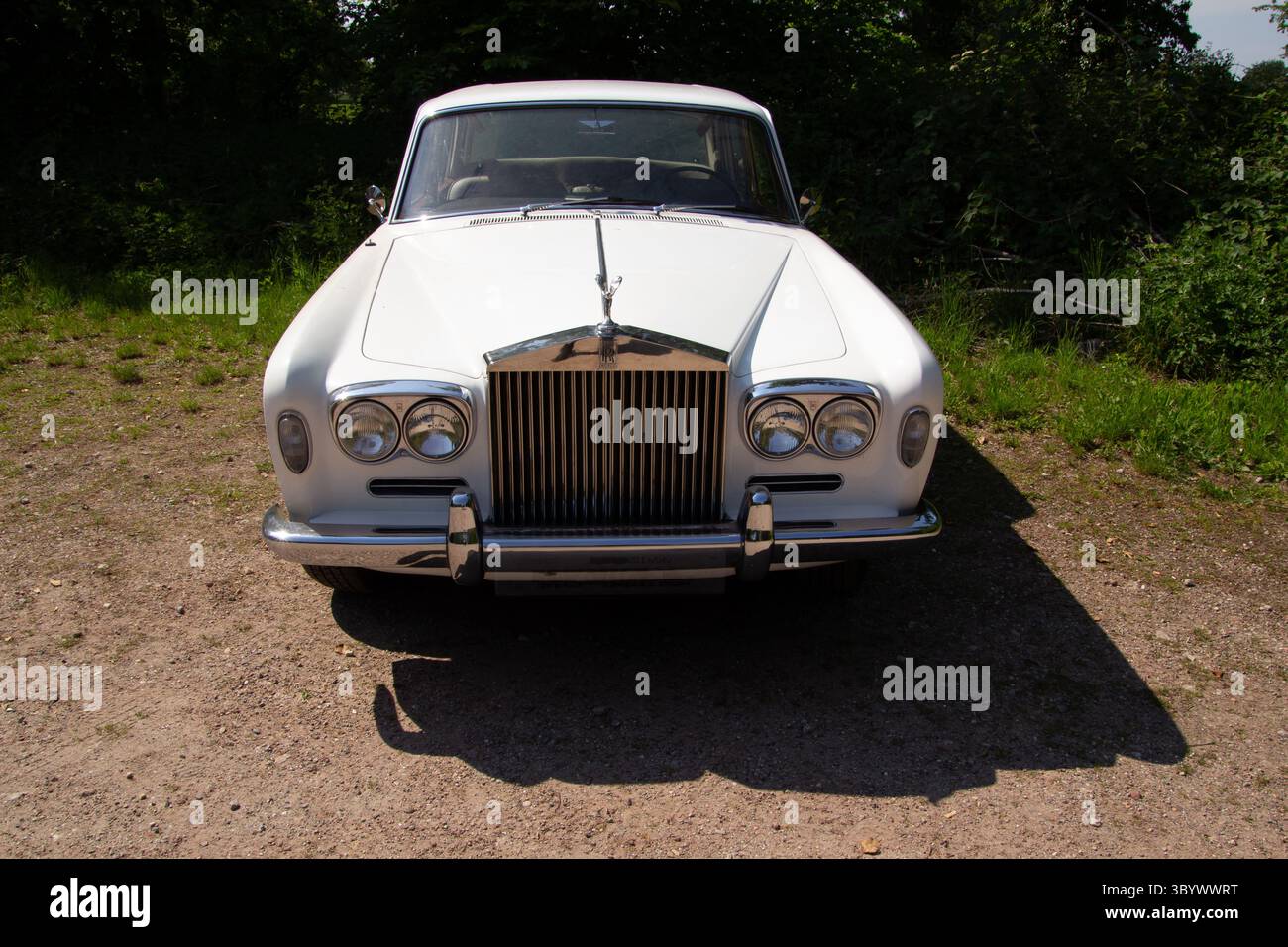 White Rolls Royce Silver Shadow, ein luxuriöser englischer Oldtimer Stockfoto