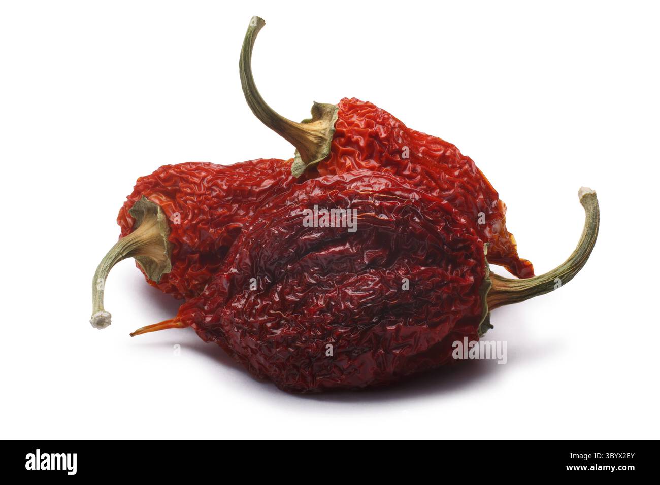 Ganze getrocknete rote Habanero-Paprika (Capsicum chinense). Beschneidungspfade, Schatten getrennt Stockfoto