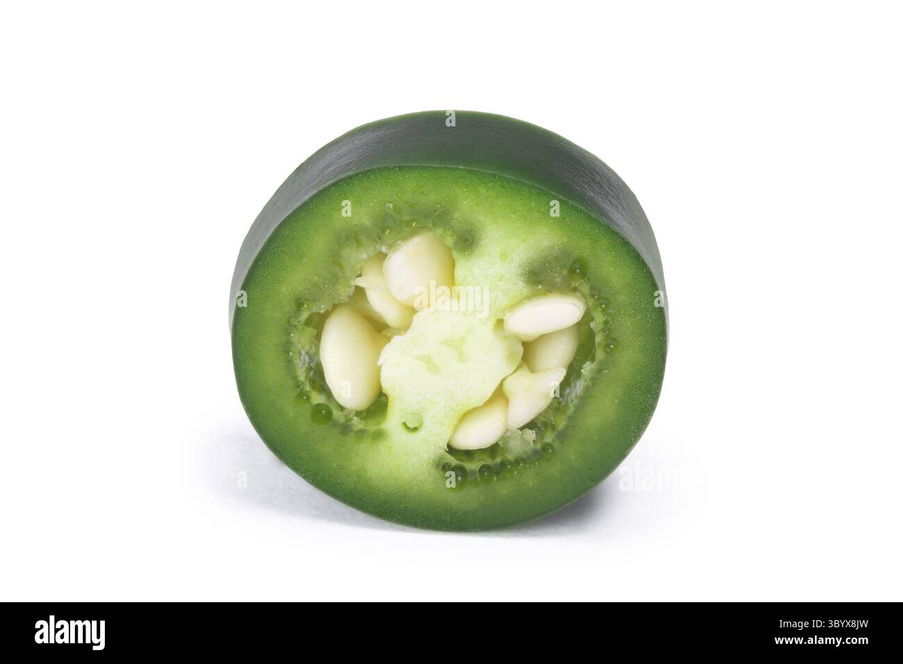 Scheibe grüne Serrano Pfeffer (Capsicum Annuum). Schneidepfad, Schatten getrennt Stockfoto
