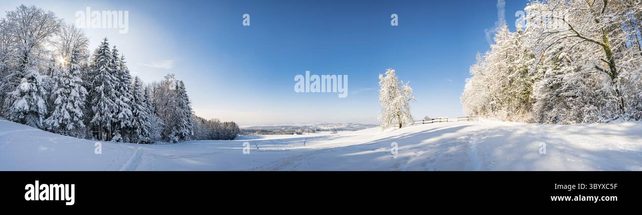 Fantastische Schneeschuhtour im Winterwunderland am Gehrenberg In der Nähe des Bodensees Stockfoto