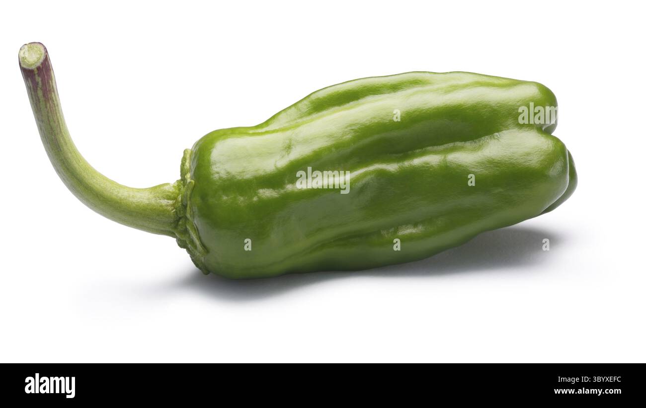 Friggitello, ein einziger toskanischen oder Griechisch milden Pfeffer, genannt Peperoncino in den USA (Capsicum Annuum). Schneidepfad, Schatten getrennt Stockfoto