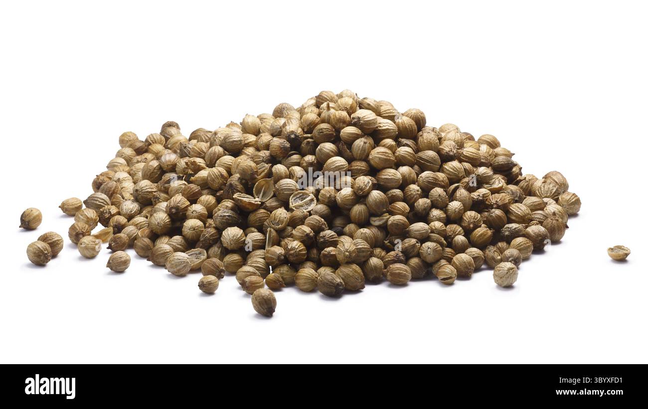 Haufen von getrockneten Koriander oder Koriander Samen (Coriandrum Sativum Früchte). Schneidepfade, Schatten getrennt Stockfoto