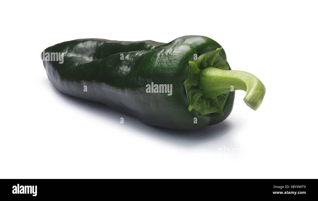 Unreife ganze Poblano Pfeffer (Capsicum Annuum), auch genannt Ancho, wenn Sie reif ist. New Mexico (Numex) Chile. Schneidepfade, Schatten getrennt Stockfoto