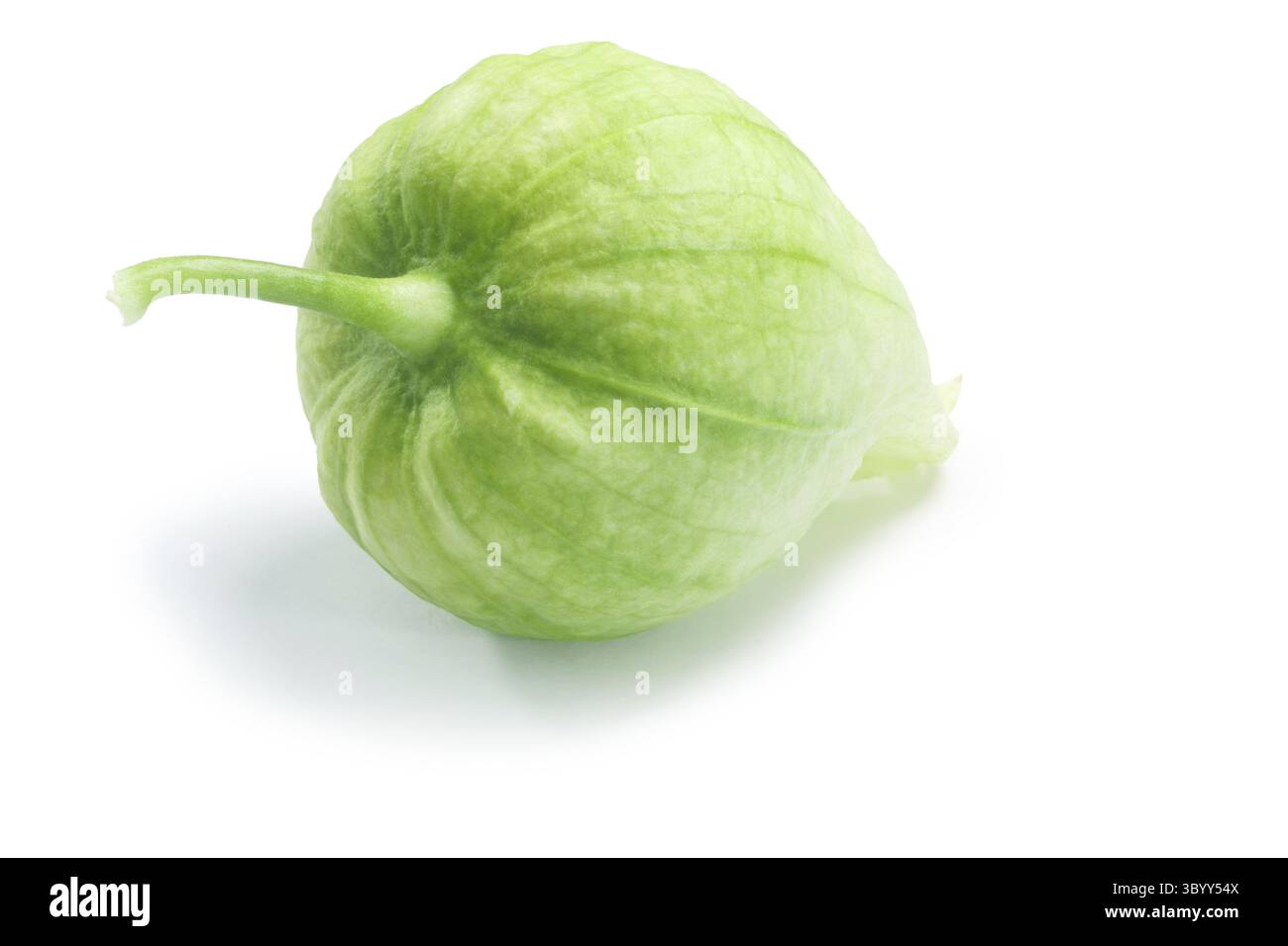 Einzelne grüne Tomatillo (Physalis Philadelphica) in eigener Schale. Schneidepfade, Schatten getrennt Stockfoto