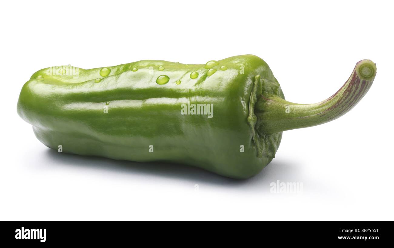Friggitello, ein einziger toskanischen oder Griechisch milden Pfeffer, genannt Peperoncino in den USA (Capsicum Annuum). Schneidepfad, Schatten getrennt Stockfoto