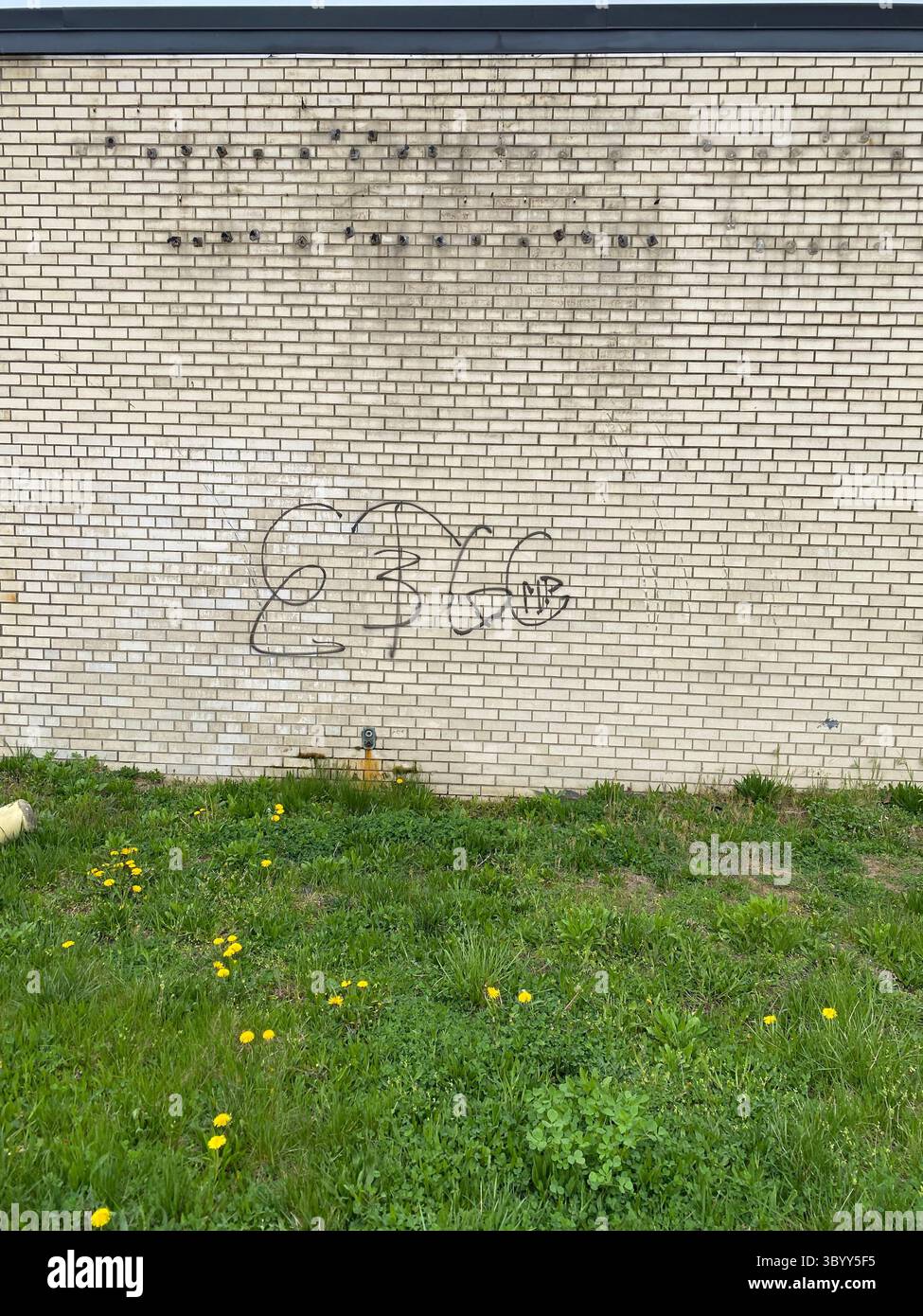 W7M ETGC/ScoreGang (SCRG), eine Detroit-basierte Crips-Untergruppe, die in der DetroitStreetGangs (DSG)-Bandendatenbank dokumentiert ist. - Smartphone-aufgenommenes Stockfoto
