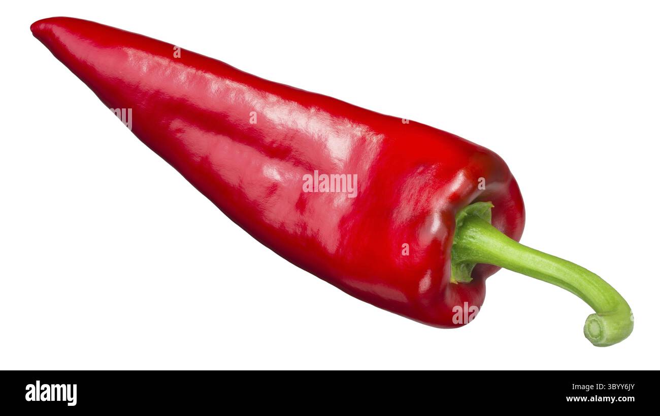 Numex Espanola Verbesserte chili Pfeffer, ganze reif. Neue mexikanische pod-Typ (Hatch chile) Stockfoto