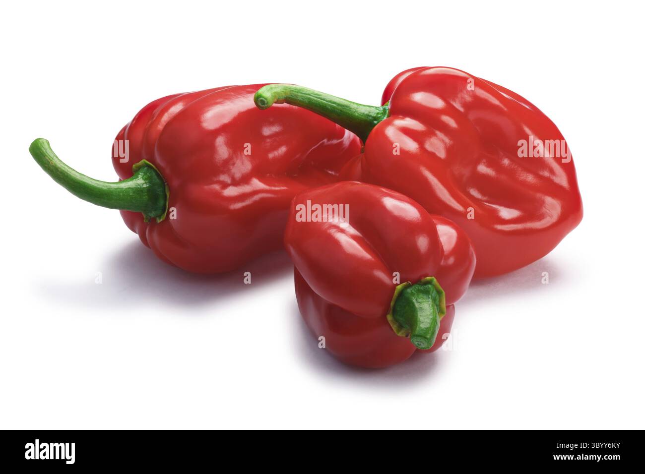 Haufen von Trinidad 7 Pod sieben Topf Paprika (Capsicum Chinense), glattschalige. Schneidepfade, Schatten getrennt Stockfoto
