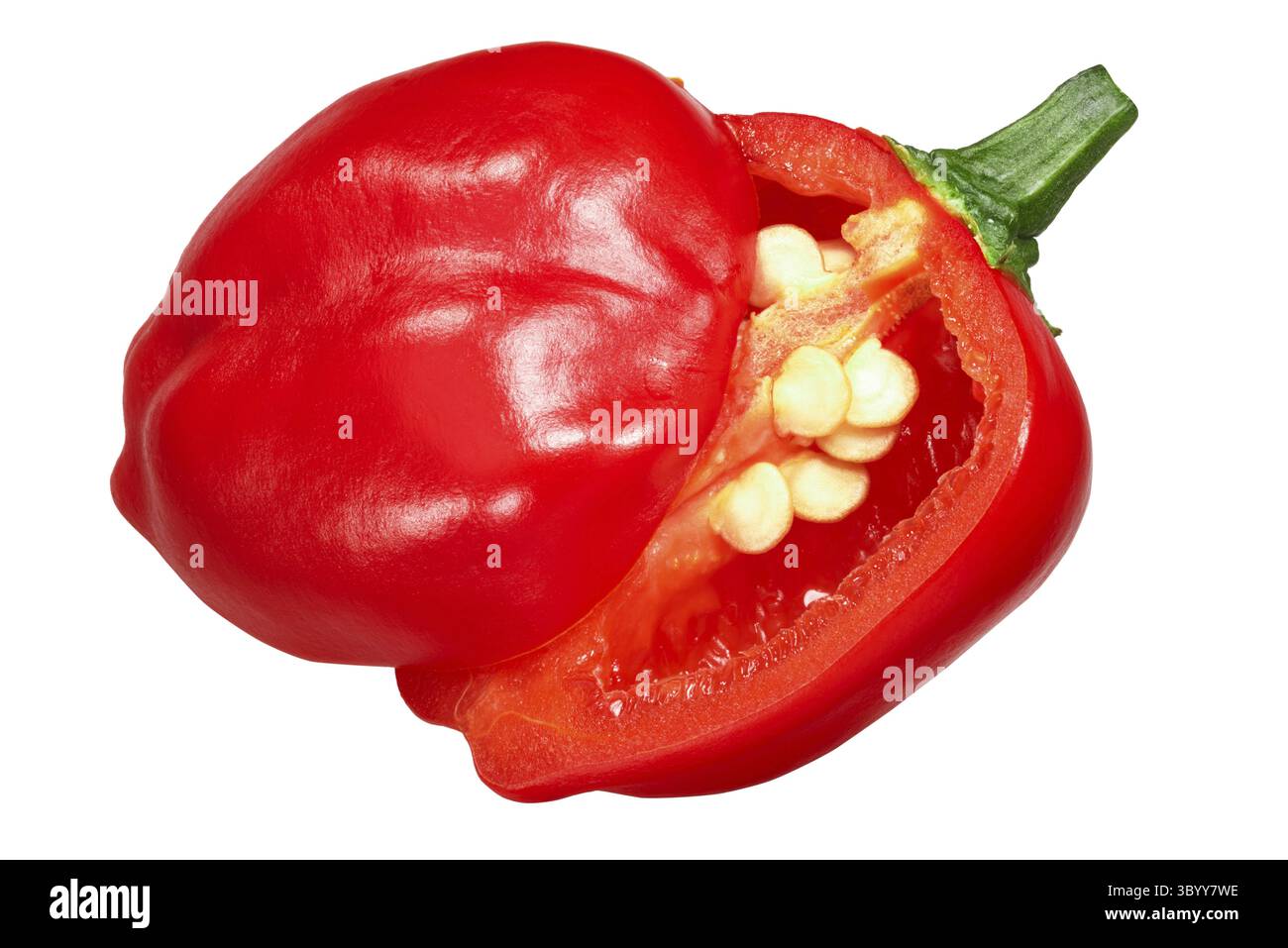 Malawi Piquante chili Paprika (Pfeffertau bei Einlage), Capsicum baccatum, geteilte reife Schoten Stockfoto
