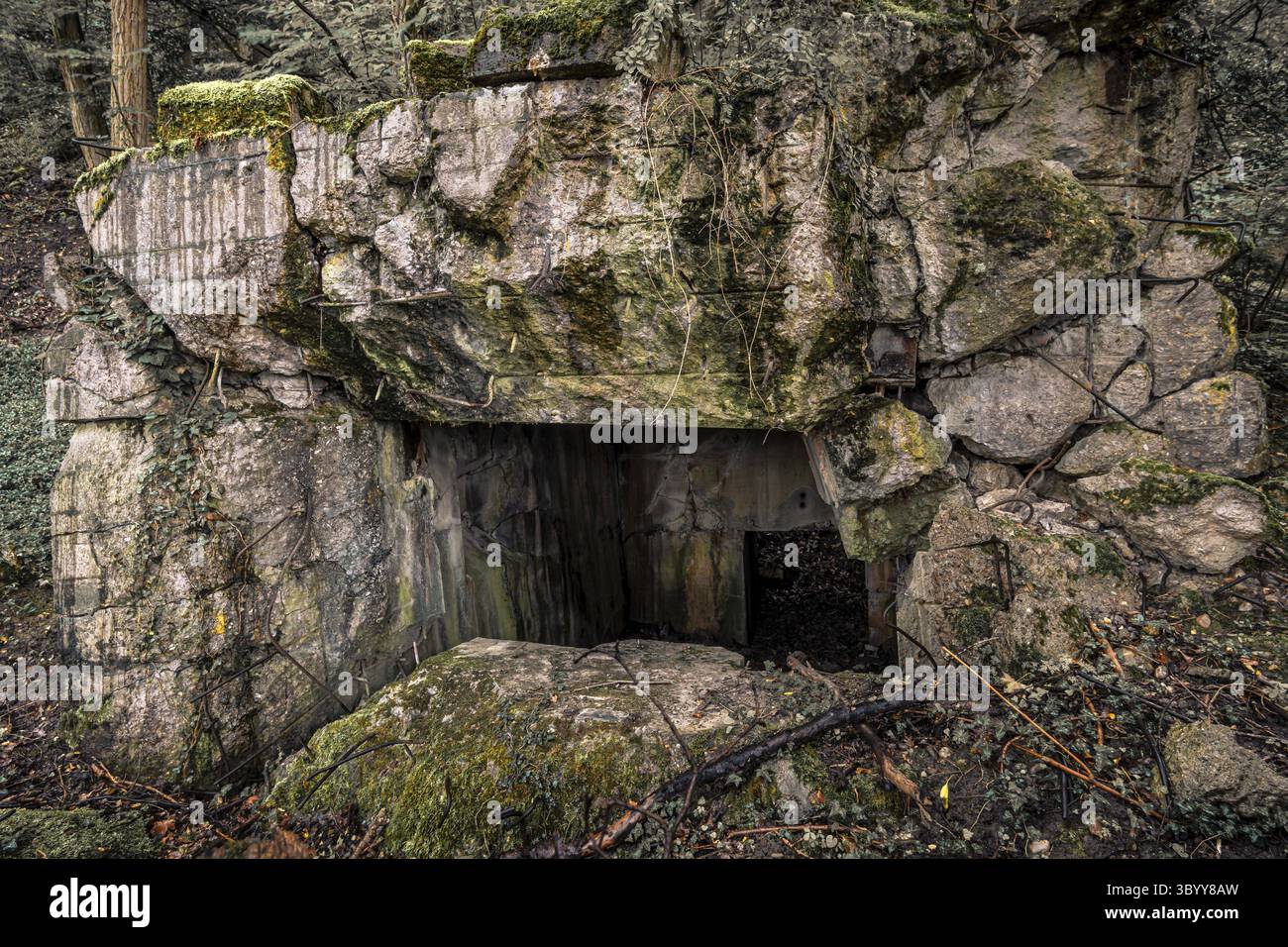 Alte gesprengte Überreste von einigen Bunkern der Siegfried Line entlang der Grenze, unterirdische Festungen, Luftabwehrpositionen und Luftschutzkeller Stockfoto