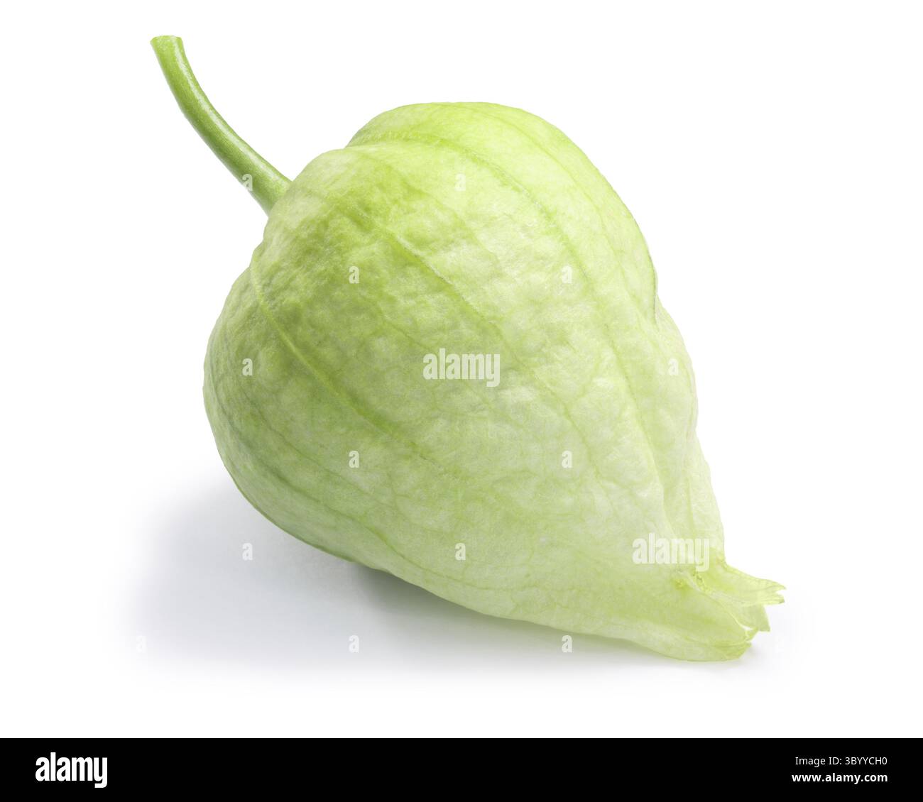 Einzelne grüne Tomatillo (Physalis Philadelphica) in eigener Schale. Schneidepfade, Schatten getrennt Stockfoto