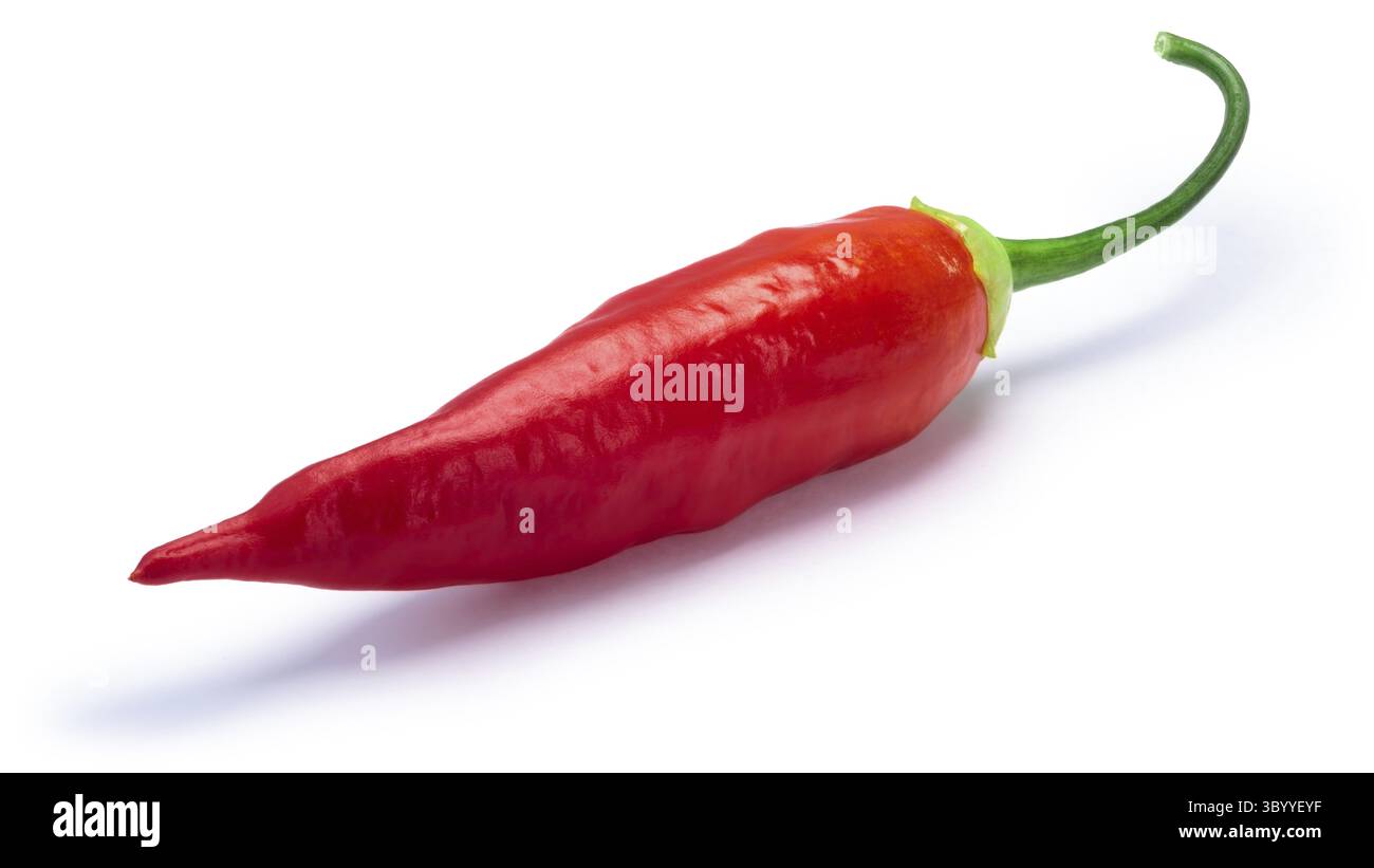 Aji Cristal Pfeffer pod, Reife (Capsicum baccatum). Beschneidungspfade, Schatten getrennt Stockfoto