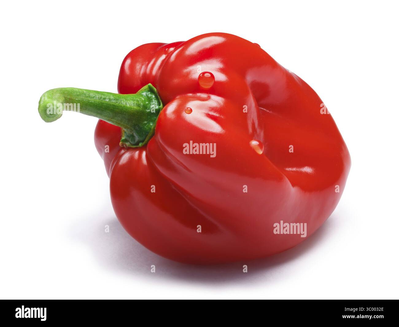 Trinidad 7 Pod sieben Topf Paprika (Capsicum Chinense), glattschalige. Schneidepfad, Schatten getrennt Stockfoto