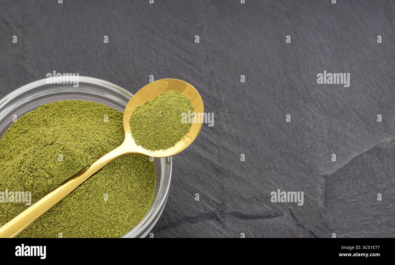 Natürliches und organisches grünes Moringa-Pulver in einem Löffel und einer Schüssel - Moringa oleifera Stockfoto