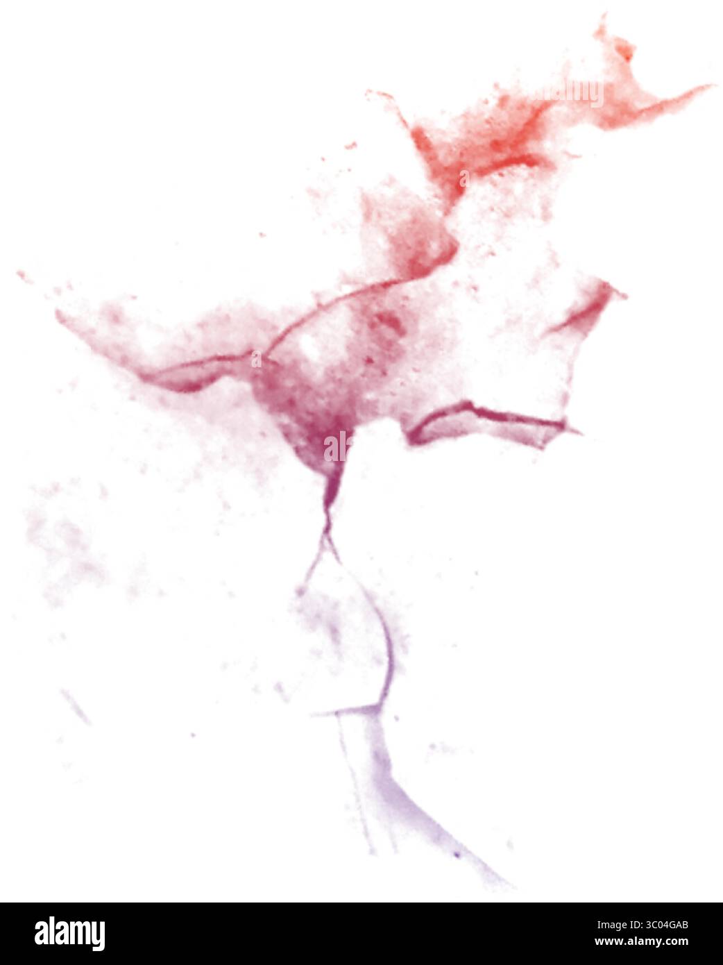 Ein detailliertes mikroskopisches Bild, das das komplizierte Netzwerk roter verzweigter Blutgefäße in einem blassen, strukturierten biologischen Gewebe zeigt. Stock Vektor