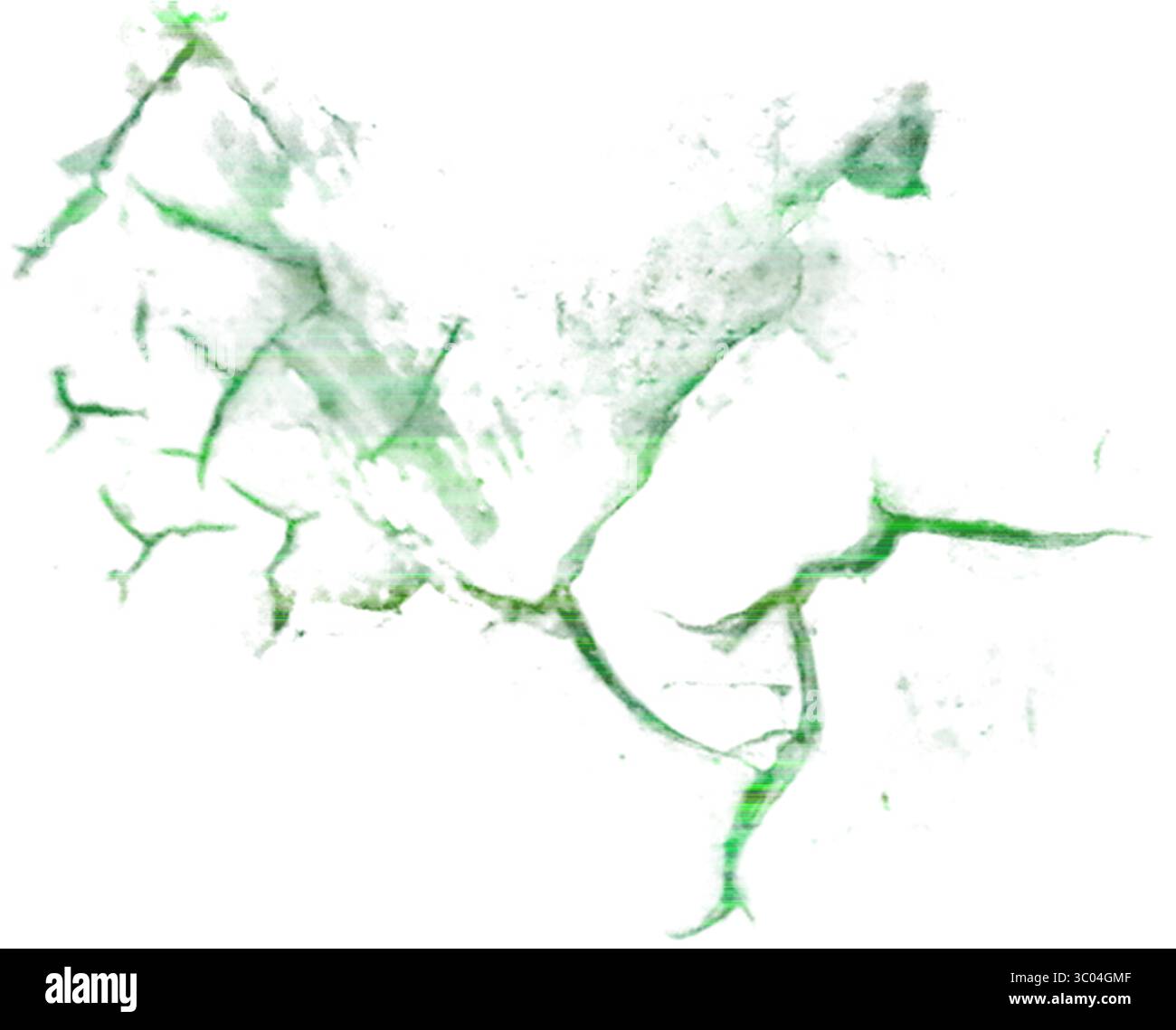 Ein detailliertes mikroskopisches Bild, das das komplizierte Netzwerk roter verzweigter Blutgefäße in einem blassen, strukturierten biologischen Gewebe zeigt. Stock Vektor