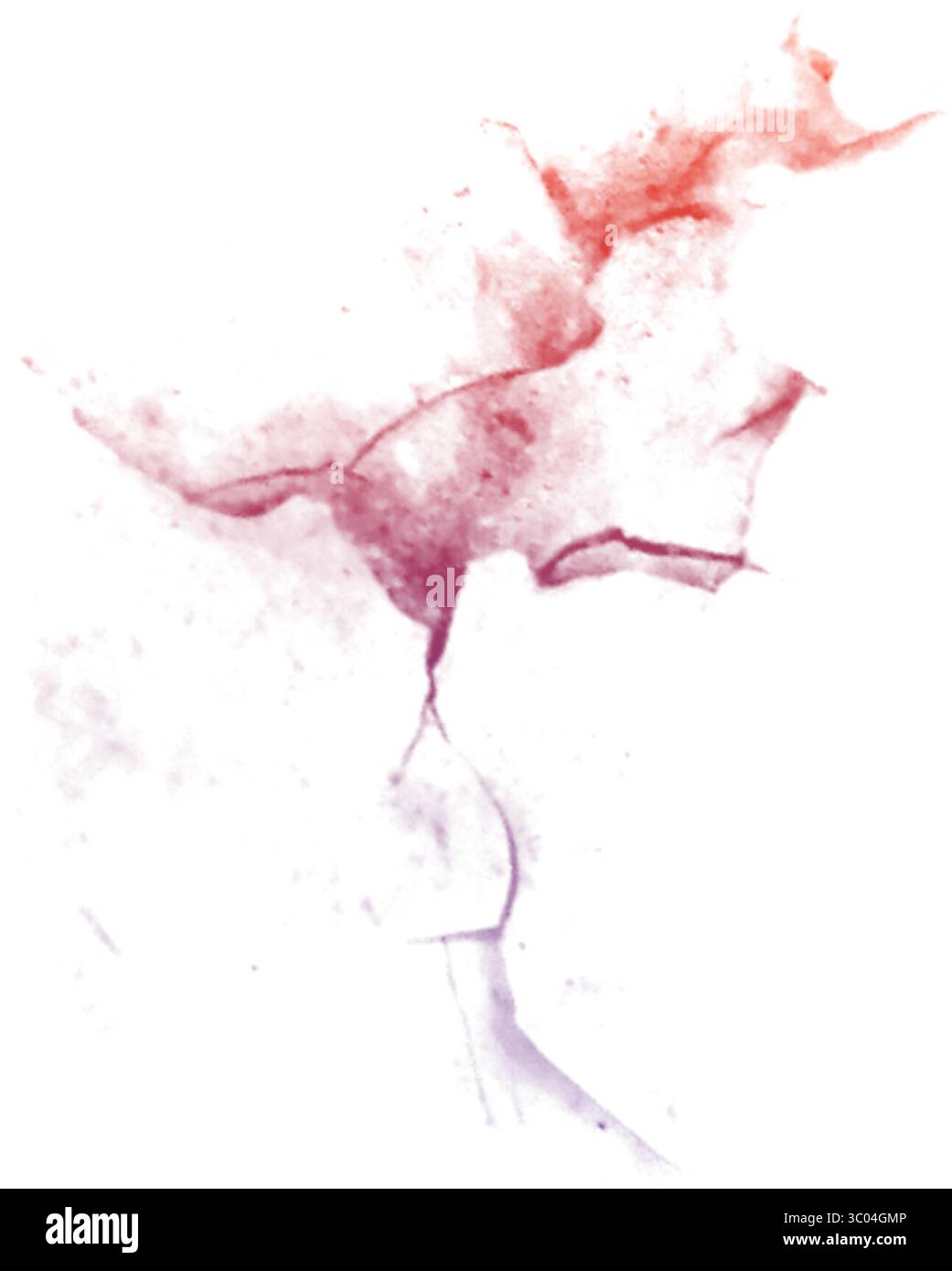 Ein detailliertes mikroskopisches Bild, das das komplizierte Netzwerk roter verzweigter Blutgefäße in einem blassen, strukturierten biologischen Gewebe zeigt. Stock Vektor