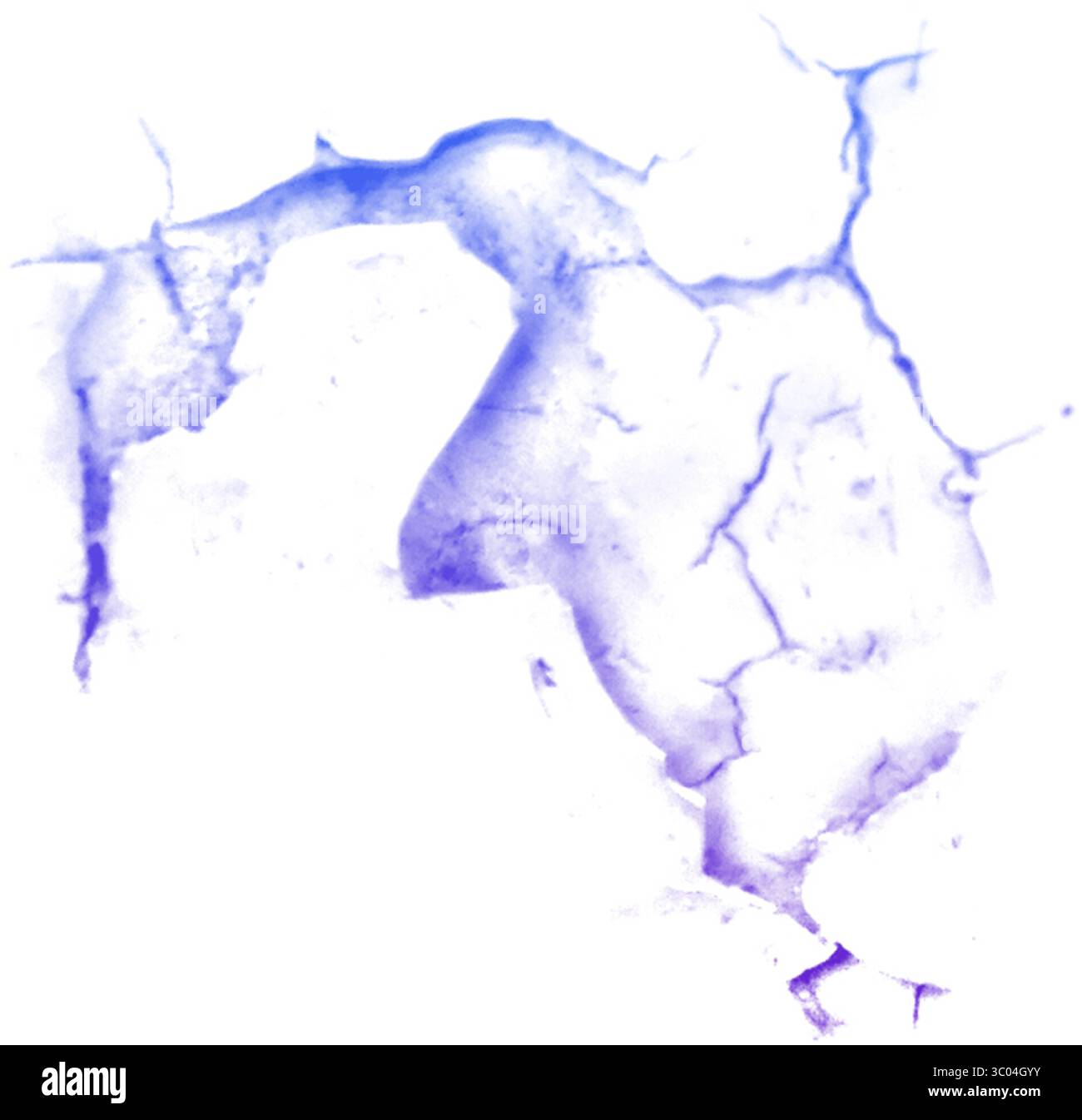 Ein detailliertes mikroskopisches Bild, das das komplizierte Netzwerk roter verzweigter Blutgefäße in einem blassen, strukturierten biologischen Gewebe zeigt. Stock Vektor