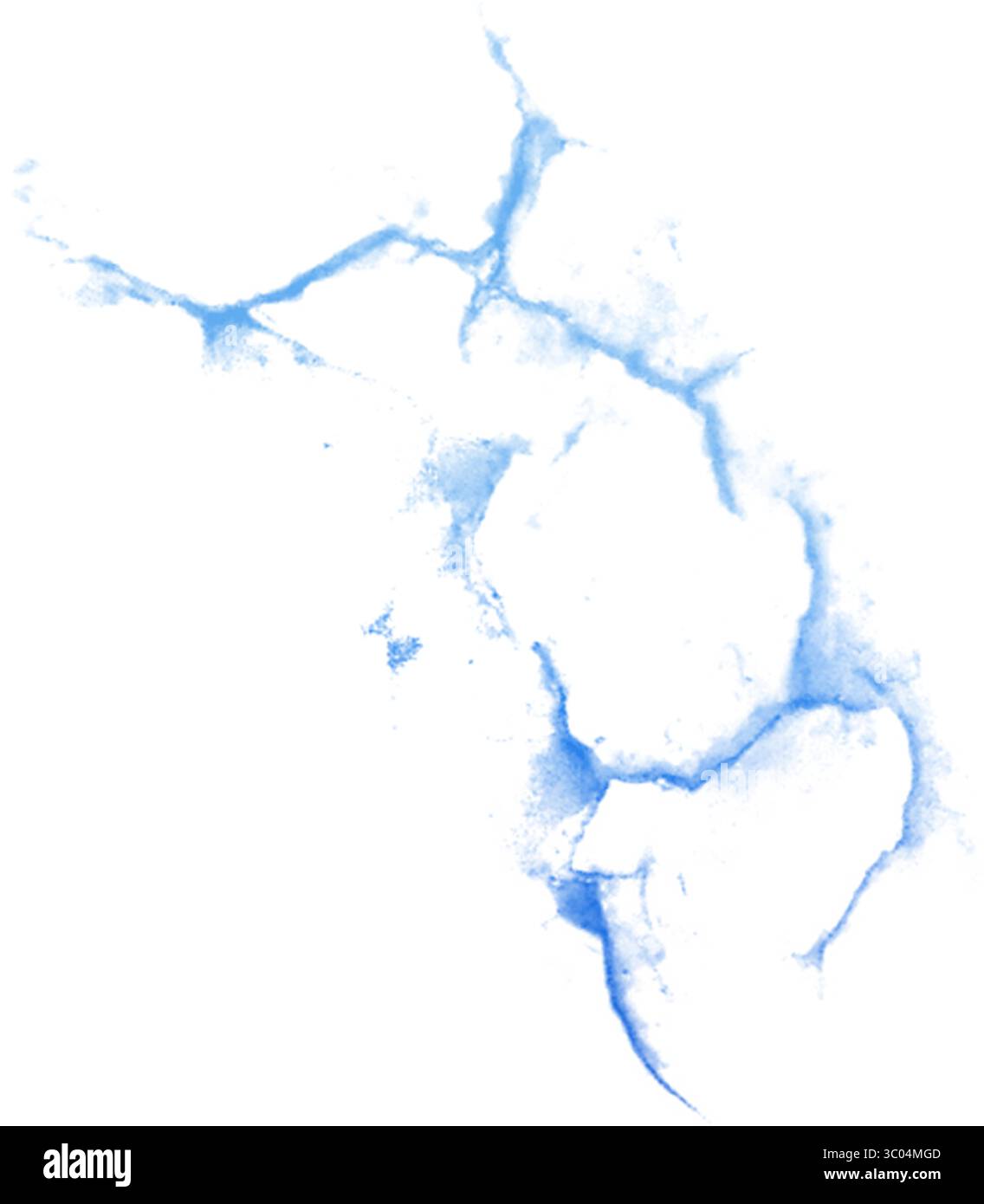Ein detailliertes mikroskopisches Bild, das das komplizierte Netzwerk roter verzweigter Blutgefäße in einem blassen, strukturierten biologischen Gewebe zeigt. Stock Vektor