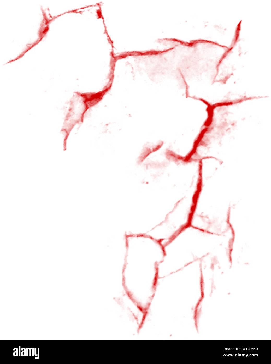 Mikroskopische Sicht auf verzweigte Gefässe und Gewebe Stock Vektor