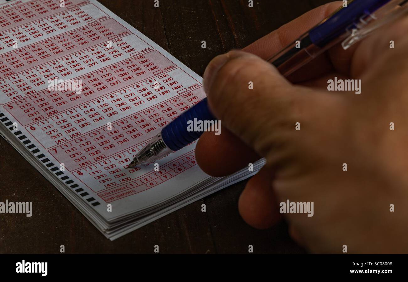 Das Ausstreichen von Glückszahlen in einer großen Geldverlosung, ein Lottoticket, das Markieren von Zahlen mit einem Stift auf einem Spielschein Stockfoto